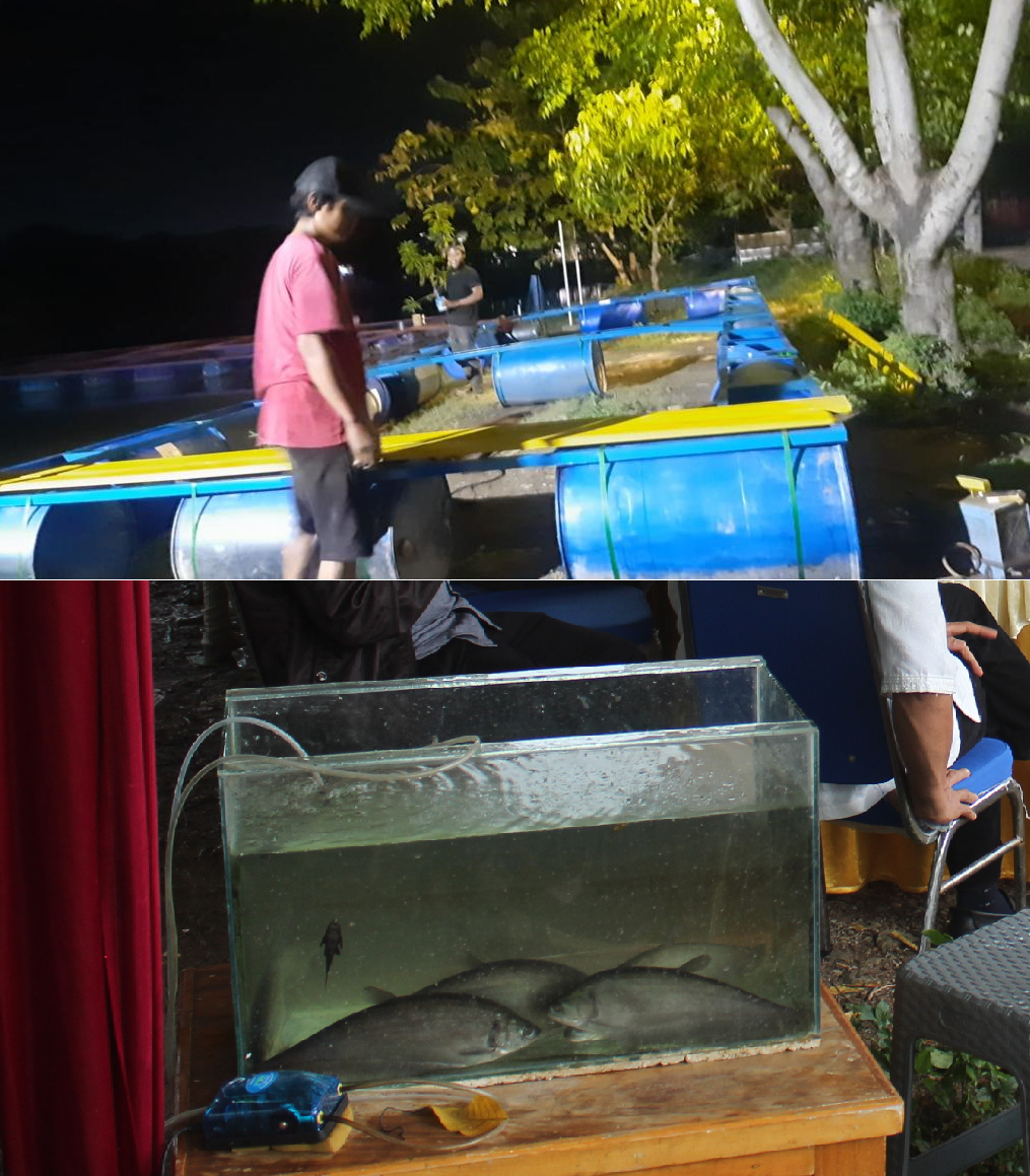 Program Konservasi Ikan Belida di Desa Karangraharja